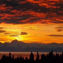 Bluff Hideaway - Guest House, hotel in Homer