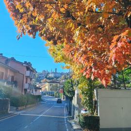 Nelly Bergamo Apartments
