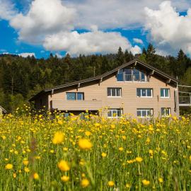 Haus Feurstein, hotel in Hittisau