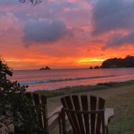 Oakura Bay Absolute Beachfront Holiday Home, hotel in Hikurangi