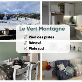 Le Vert Montagne Studio lumineux plein sud