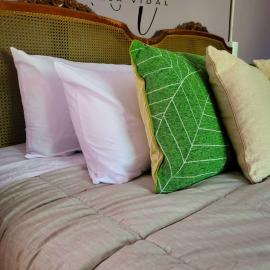 Casa Vidal Guesthouse, hotel a Tupungato