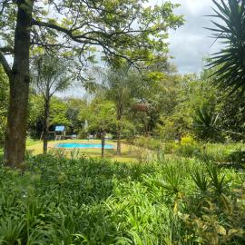 Busa House