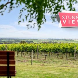 Willunga House - Fireplace Vineyard Views，Willunga的飯店
