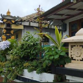 Adem Ayem, hotel in Ngadisari