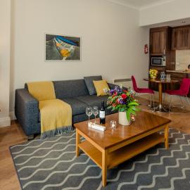 PREMIER SUITES Dublin, Leeson Street, Hotel in Dublin