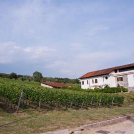 Tenuta Tralice