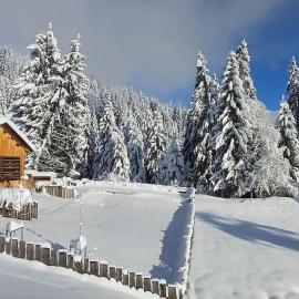 Comfortable apartment near the ski station with parking