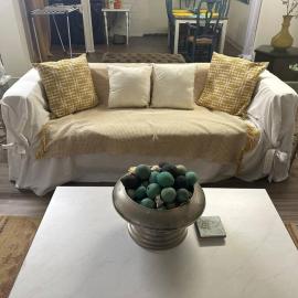 Roomy Oasis DC area pet friendly