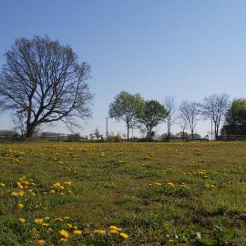 CountryHouse