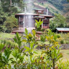 Los Quetzales Ecolodge & Spa, hotel a Cerro Punta