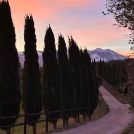 Agriturismo La Masseria - La casa tra gli alberi, hotel in Cugnoli
