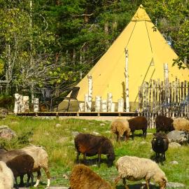 Västeräng Glamping, hotel in Lillandet