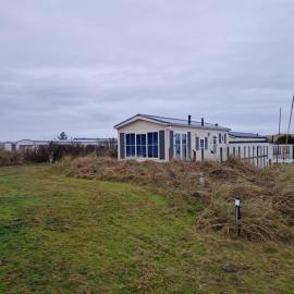 Duinviool