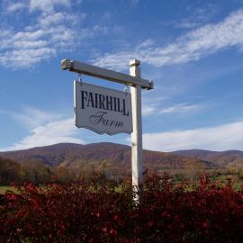 Fairhill Farm Country Vacation Rentals, Hotel in Stanardsville