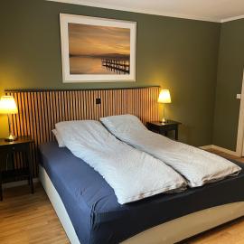 Stue, soverom og bad, hotel en Åmot