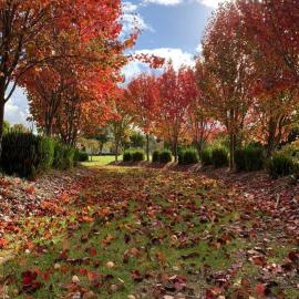 Claret Lodge Modern country retreat, hotel u gradu 'Gnarwarre'