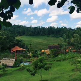 Bali Lush، فندق في Selemadeg