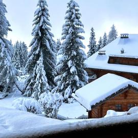 Chalet con Vista