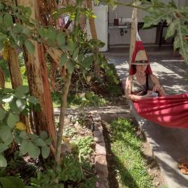 Nazca में, होटल flying monkey hostel