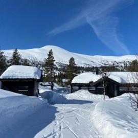 Hito - cabin between Flå and Eggedal, hotel en Flå