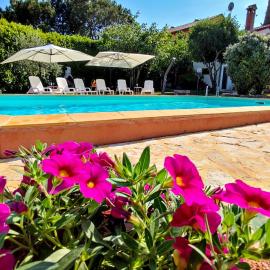 Beautiful apartment for two with a pool, hotel in Rovinjsko Selo