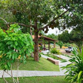 Pousada Chácara Pau - Brasil, hotel in Lagoa Sêca