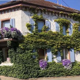 Holiday apartment Monet in Oberrotweil