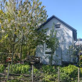 Tuinhuisje in het groen, hotel i Almere