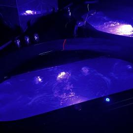 BDSM Red Room Apartment, khách sạn ở Łódź