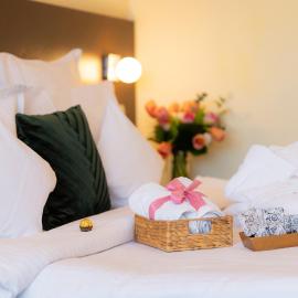 Hotel Terra Balneo, hotel u gradu 'Galaţi'