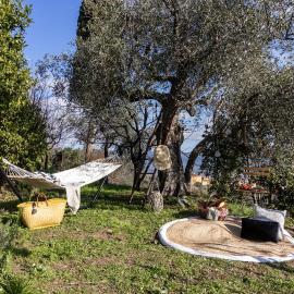 Castellara Green House - Colline di Lerici, hotell Arcolas