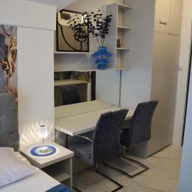 Apartman "INSOMNIA" u samom centru grada, udaljen 100 metara od glavnog gradskog trga!