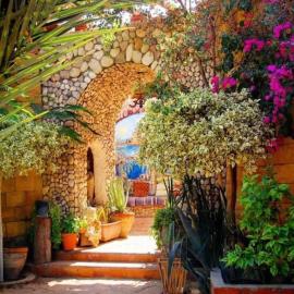 Dream Lodge Siwa دريم لودج سيوة, Hotel in Siwa