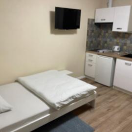 Villa Pod Orzechem w Zaniemyślu, hotel a Zaniemyśl