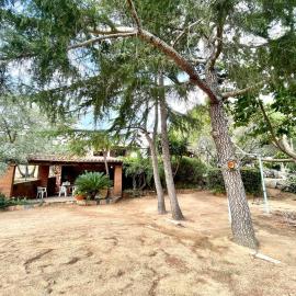 Tiny House Bellavista