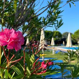 Calilla Home - appartamento Maestrale