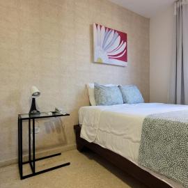 Drake Piantini Santo Domingo, hotel in Santo Domingo