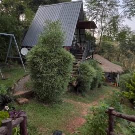 Angels Nest Home stay plantation Mountain area balconey SunRice view Nearby Ngarhole wild life , Tholpetty wild life , Pakshipathalam Bird santuary , Kuruva island # Thirunelly & Thrissilery Temple Near by Secure Stay Wayanad Kerala, hotel sa Chekadi