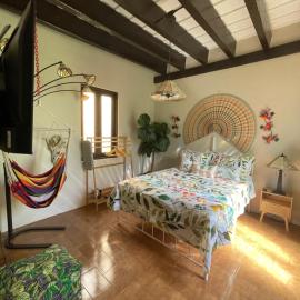 산후안에 위치한 호텔 The Garden Apartment, The Willow Apartment, & The Tropical Apartment at Casa of Essence in Old San Juan
