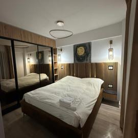 Q Business Apartment: Temeşvar şehrinde bir otel