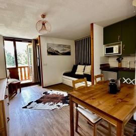 The Edelweiss- Renovated studio for 4 people!