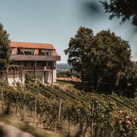 Weingut Assigal, Hotel in Leibnitz