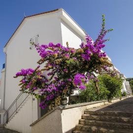 Apartment Tatjana
