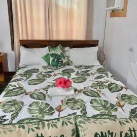 Panagsama Holiday Cottage: Moalboal şehrinde bir otel