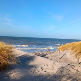 Fewo Muschel incl Kurkarte Parkplatz und strandnah, hotel a Ahrenshoop