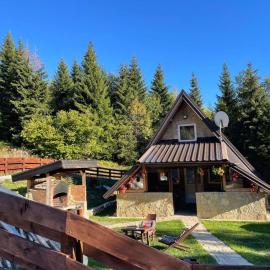 Planinska kuca ANDJELA 1 & sauna, hotel di Mitrovac