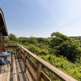 Coastal cabin, spectacular views, doorstep woodland walks, sea 5 mins, hotel in Pembrokeshire