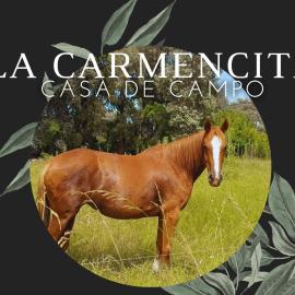 La Carmencita casa de campo, Manzanares, Pilar