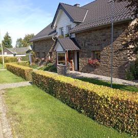Ferienwohnung Biebes